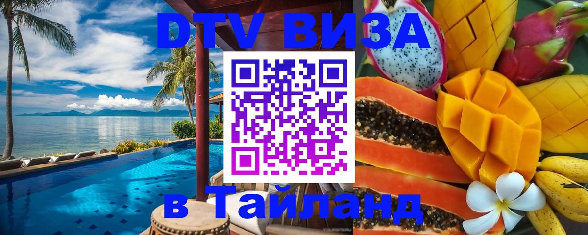 Оформление DTV визы под ключ: стоимость и тарифы, только загранпаспорт - Курск 